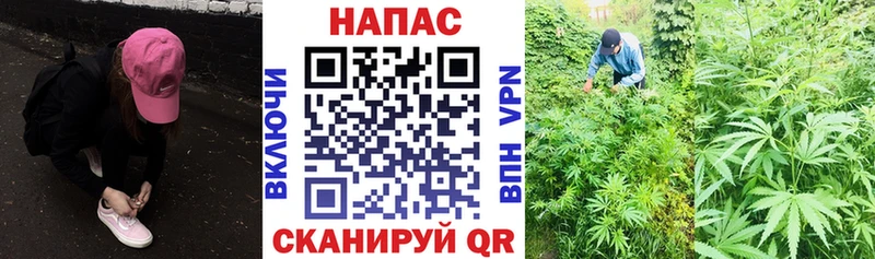 Купить закладку Кокаин  Марихуана  Alpha-PVP  ГАШ  Мефедрон  Дзержинск