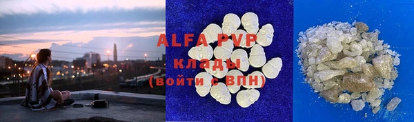 амф Новодвинск