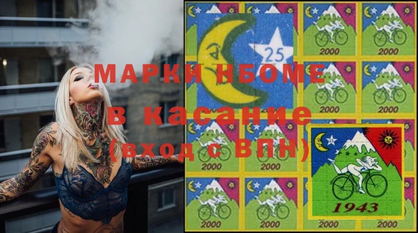 амф Новодвинск